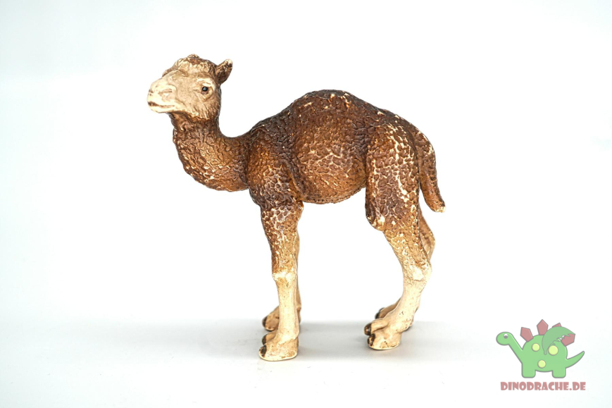 Schleich  Dromedar Set 14355 + 14356